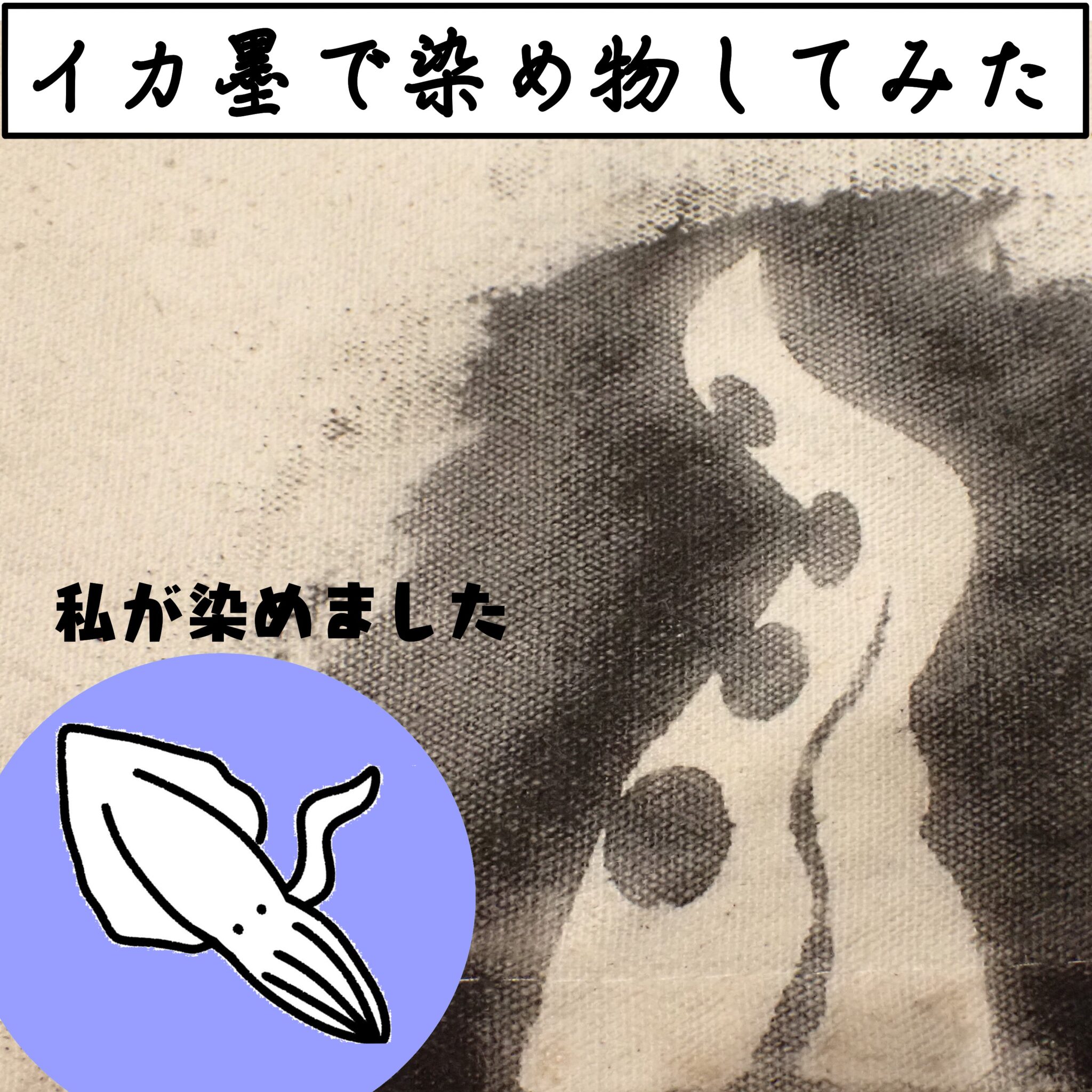 イカ墨で染めものをしてみた - トリミタ